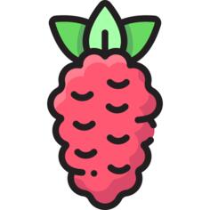 Raspberries