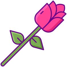 Rose