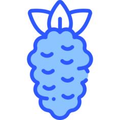 Raspberries