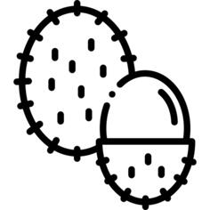 红毛丹