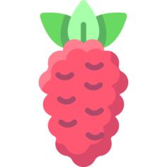 Raspberries