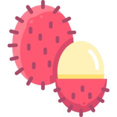 Rambutan
