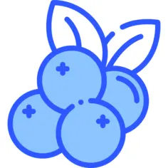 Cranberry