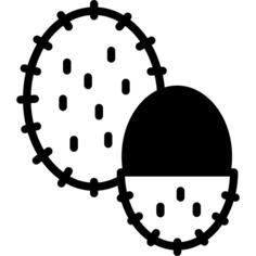 Rambutan
