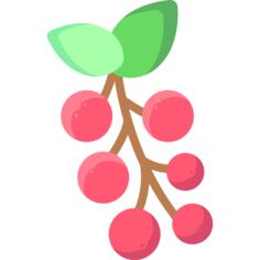 Berries