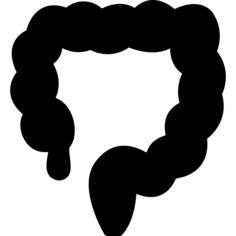 Colon
