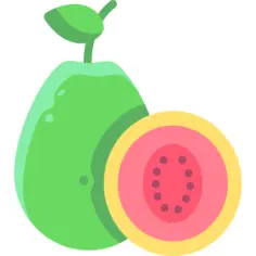 Guava