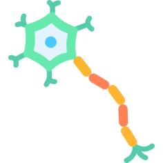 Neuron