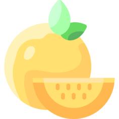 橙子