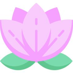 莲花