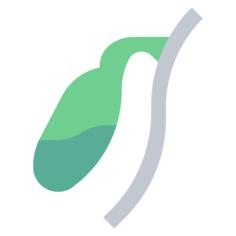 Gallbladder