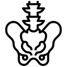 骨盆