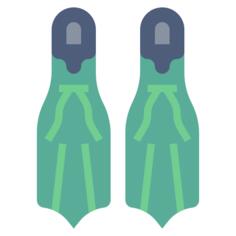 Flippers