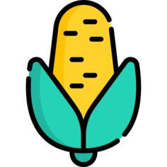 Corn