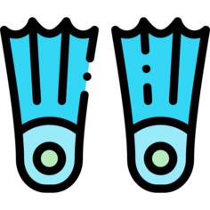 Flippers