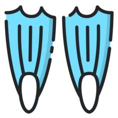 Flippers
