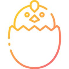 小鸡