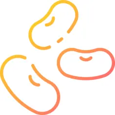 豆子