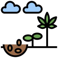 Germination