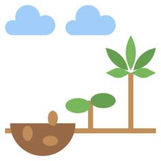 Germination