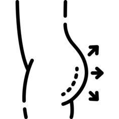 臀肌