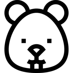 仓鼠