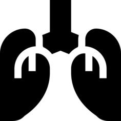 Lungs