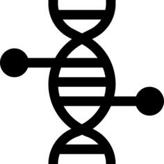 脱氧核糖核酸