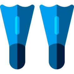 Flippers