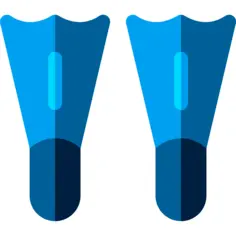 Flippers