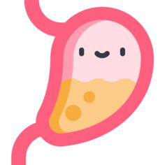 Stomach