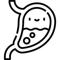 Stomach