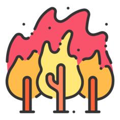 野火
