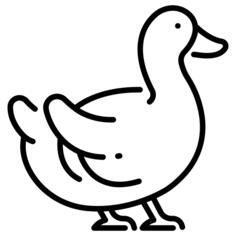 鸭