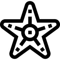 海星
