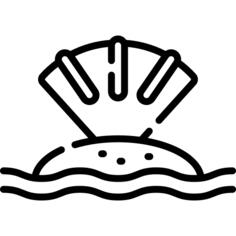 贝壳