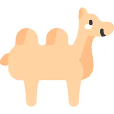 Camel
