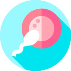 Fertilization