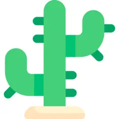 Cactus