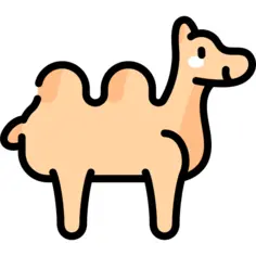骆驼