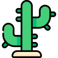 仙人掌