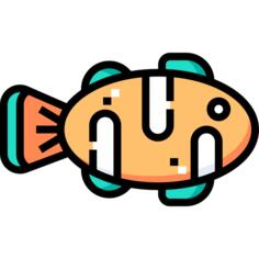 小丑鱼