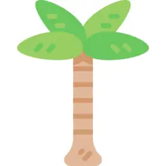 Palm tree