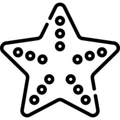海星