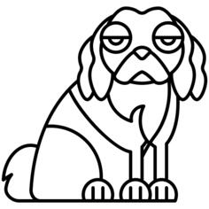 Cavalier king charles spaniel