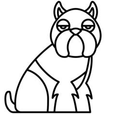 Brussels griffon