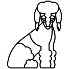 Bedlington terrier