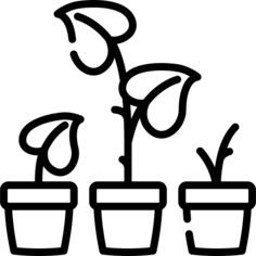 Plants
