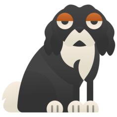 骑士查理王猎犬