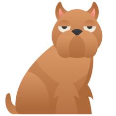 Brussels griffon